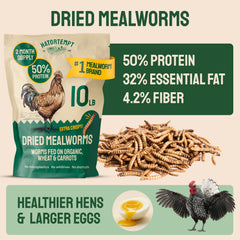 Hatortempt close-up of whole dried mealworms, illustrating quality and texture