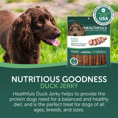 HEALTHFULS single duck jerky fillet close-up showing lean protein texture