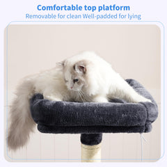 Heybly top perch close-up with padding for comfortable naps and observation