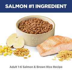 Hill's Science Diet kibble texture detail demonstrating crunchy bite