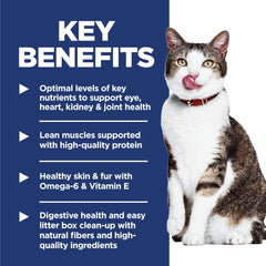 Indoor senior cat eating Hill's Science Diet supporting steady energy