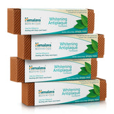 Himalaya front packaging showing 4-pack and mint benefit