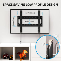 HOME VISION close-up of quick-release strap for easy TV removal