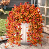 Hommyea front view of two hanging stems showing autumn color and instant curb appeal