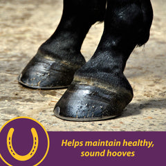 Horse Health close-up of crumble texture showing easy mixing and intake
