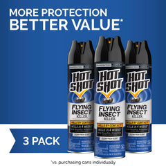 HOT SHOT aerosol can close-up highlighting spray action and quick knockdown