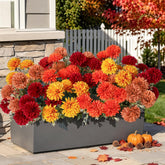HyeFlora front arrangement in planter adds instant autumn curb appeal