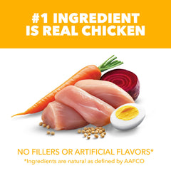 IAMS bowl of real chicken highlighting high-quality protein benefit