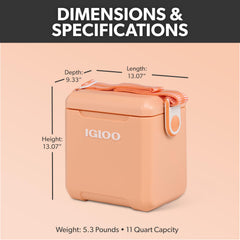 Igloo woven adjustable strap detail on Tag Along Too cooler for comfortable hands-free carry