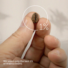 brewing illy Classico in a pour-over cone, illustrating flavor clarity