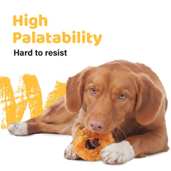 iPaw dog chewing a tendon ring illustrating engagement and dental stimulation benefit