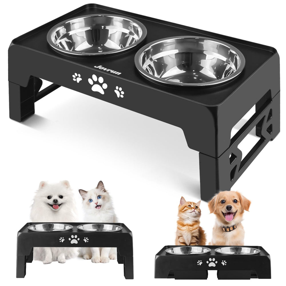 Jovrun front view of elevated feeder showing compact design and dual bowls
