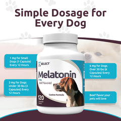 Hand holding a K9 Select chewable tablet ready to give for stress relief