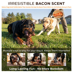 Kseroo bacon-scent finish detail attracting canine interest