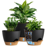 KUGAZ front view three-pack showing sizes and tidy setup, saving space