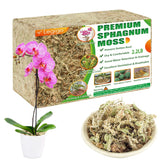 Legigo front packaging showing 40QT sphagnum moss and clean natural branding benefits potting