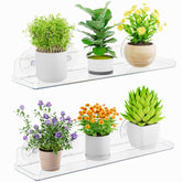 Lifewit front view of clear window shelf showing tidy plant display and visibility benefit