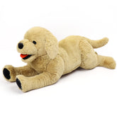 LotFancy golden retriever front view showing realistic pose and cuddle benefit