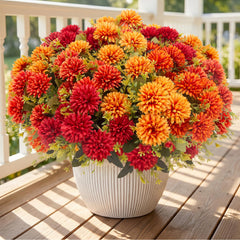 lovemoon front packaging showing 12 outdoor mums, adds instant fall curb appeal