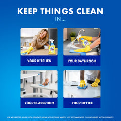 Lysol being sprayed on kitchen counter to kill germs and cut grease rapidly