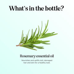 maple holistics rosemary oil texture close-up showing clear viscosity for blends