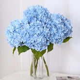 MARTINE MALL front view showing three blue hydrangea heads and natural volume benefit