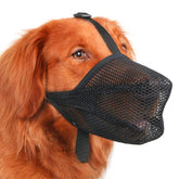 Mayerzon front view muzzle showing secure fit and comfortable coverage