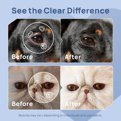 METEPET applied to dog lower eyelid by owner demonstrating simple hygiene