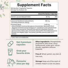 Micro Ingredients vegetarian capsules close up showing smooth texture and easy swallowing