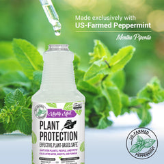 Hand holding Mighty Mint bottle to show 16 oz size for easy storage and handling