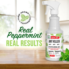 Mighty Mint spray on baseboard stopping ant trails for household protection