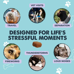 Mighty Paw label close-up highlighting ingredients and vet-formulated assurance benefit
