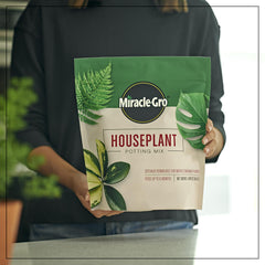Miracle-Gro close-up texture of mix highlighting airy, well-draining components