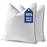 MIULEE front view of two 20x20 pillow inserts showing neat shape and finish for fuller decor