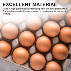 MT Products tray holding chicken eggs showing safe egg transport benefit