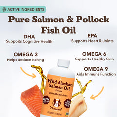 Natural Dog Company pump dispensing salmon oil onto a spoon beneficial dosage