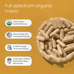 NaturaLife Labs bottle beside common items showing capsule count benefit