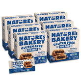 Nature's Bakery front packaging showing blueberry fig bars, clear portioning benefit