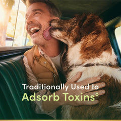 Nature's Bounty charcoal capsules close-up revealing texture and easy-swallow benefit