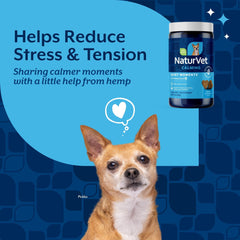 Hand holding NaturVet chew to show size and easy dosing benefit