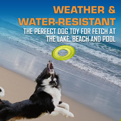 Nerf Dog Tire Flyer in use with dog fetching, promoting active play benefit