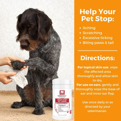 Nootie wipe applied to a dog paw hotspot for targeted surface care