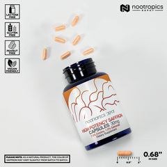 Close-up of a single Nootropics Depot saffron capsule highlighting texture and purity