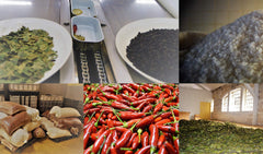 Nuri open tin of sardines in tomato and olive oil showing vibrant sauce and savory depth