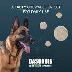 Nutramax Dasuquin ingredient label detail showing trademarked components