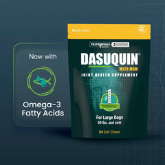Nutramax Dasuquin soft chew close-up highlighting palatable texture