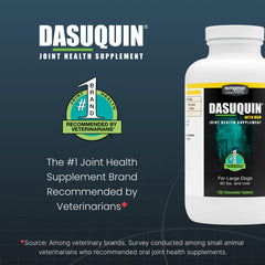 Nutramax Dasuquin tablet surface detail illustrating chewable composition