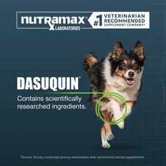 Nutramax Dasuquin tablet in hand for scale demonstrating large-dog dosing
