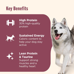 Nutrish dry kibble in bowl ready to serve for convenient feeding