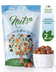 NUTS U.S. close-up of hazelnut shell texture highlighting natural protection